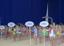 Bədii gimnastika üzrə XXII Bakı çempionatı və birinciliyi start götürüb. Bakı, Azərbaycan, 13 noyabr 2015